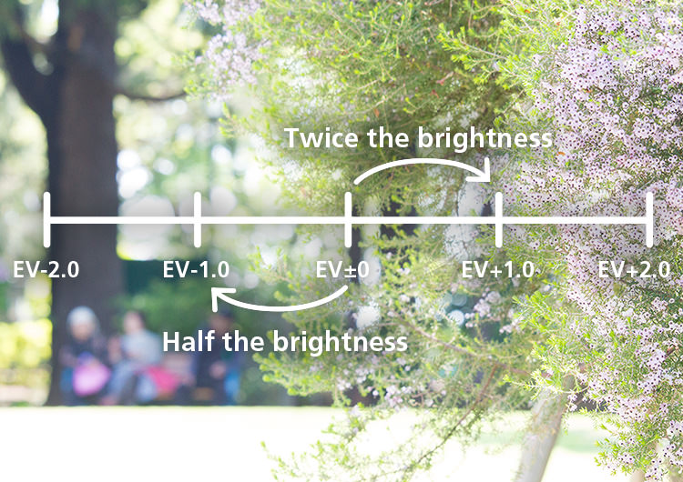 Part5 Exposure compensation3